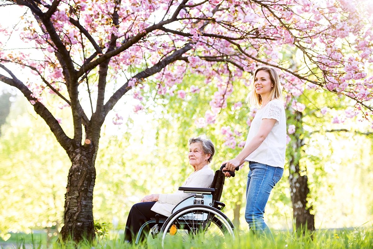 woman in wheelchair and younger woman under a cherry blossom tree